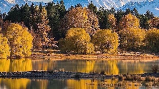Mount Cook di musim gugur/Foto: Instagram.com/travelnewzealandwithme Rekomendasi tempat perkemahan terindah di dunia