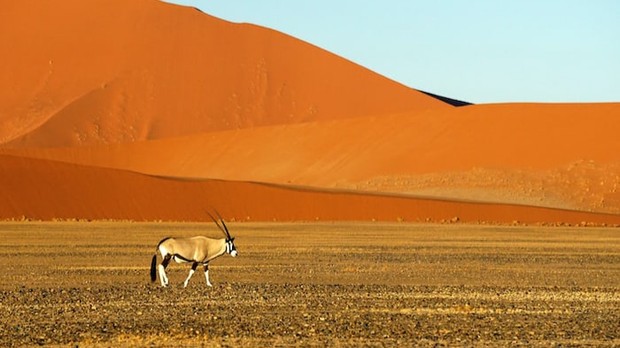 Namibia/Foto: Unsplash.com/Joe McDaniel Rekomendasi destinasi wisata luar negeri ramah anak
