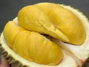 Populer: Turis Pukul Penjual Pakai Timbangan karena Tertipu Beli Durian