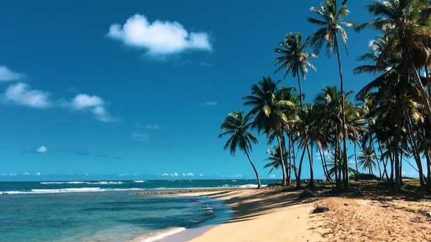 Pantai di Republik Dominika/Foto: Unsplash.com/Antonella Vilardo Rekomendasi destinasi wisata luar negeri ramah anak