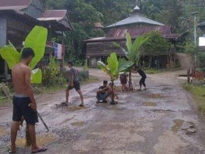 Jalan Poros Polewali-Mamasa Ditanami Pohon Pisang gegara Rusak Parah Jalan Poros Polewali-Mamasa Ditanami Pohon Pisang gegara Rusak Parah