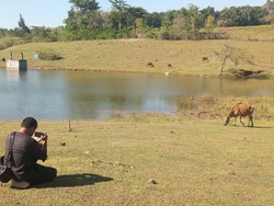 Embung Oelomin di Kupang Jadi Spot Wisata, Sekadar Foto-Pacaran