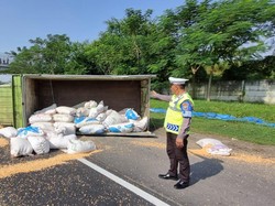 Truk Muat Jagung Terguling di Tol Porong Arah Waru, Muatan Berceceran