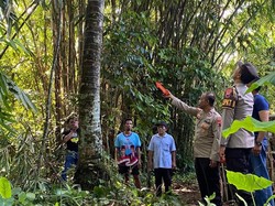 Penderes Nira Candinata Purbalingga Tewas Jatuh dari Pohon Kelapa