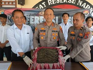Pemuda di Bangka Ditangkap Saat Ambil Paket 2 Kg Ganja di Tempat Ekspedisi Pemuda di Bangka Ditangkap Saat Ambil Paket 2 Kg Ganja di Tempat Ekspedisi
