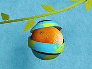 Bagaimana Pabrik Pengemasan Jaga Lingkungan?