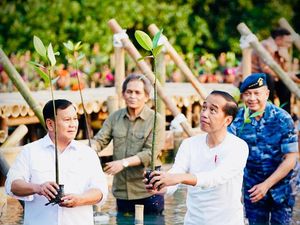 Potret Kompak Jokowi dan Prabowo Berbaju Putih Nyemplung Tanam Mangrove