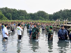 Panglima TNI Cerita Makna Tanam Mangrove: Tahan Musuh Masuk