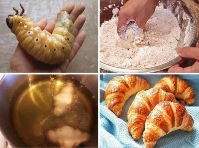 10 Kreasi Makanan Tak Masuk Akal Hingga Menjijikan ala Netizen