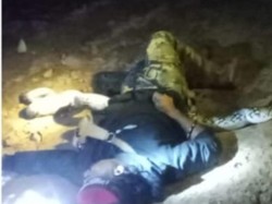 Pemburu Ular di Banjar Kalsel Tewas Mengenaskan Dililit Piton 4 Meter