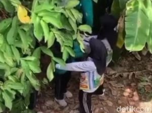 Viral Video Diduga Siswi SMA di Palembang Ditampar saat Diksar Viral Video Diduga Siswi SMA di Palembang Ditampar saat Diksar