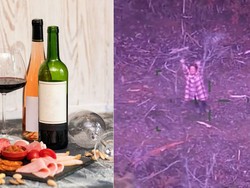 Terjebak di Hutan, Wanita Ini Bertahan Hidup dengan Konsumsi Permen dan Wine