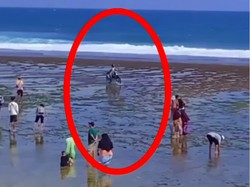 Motor Trail Masuk ke Pantai Gunungkidul, Biota Laut Terancam?