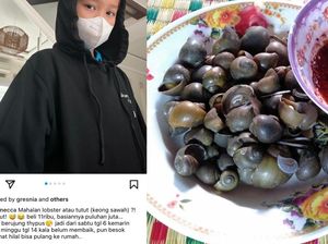 Anak Zaskia Adya Mecca Keracunan Tutut, Ini Tips Mengolah Tutut Anak Zaskia Adya Mecca Keracunan Tutut, Ini Tips Mengolah Tutut