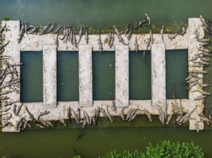 Ini Dia Pusat Penangkaran Buaya Terbesar di China