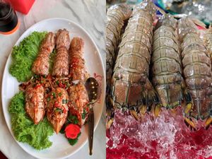 Beli Udang Rp 1,1 Juta di Restoran, Pelanggan Ini Marah Cuma Dapat 3 Beli Udang Rp 1,1 Juta di Restoran, Pelanggan Ini Marah Cuma Dapat 3