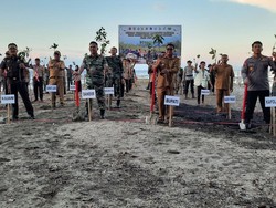 Jaga Ekosistem Laut, Kodim Poso Tanam 1.250 Bibit Mangrove di Pantai Tongko