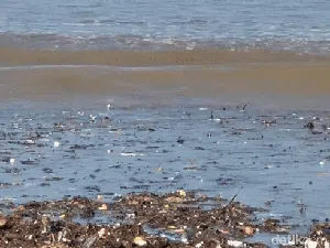 Menanti Langkah Pemerintah Atasi Sampah yang Kotori Pesisir Loji