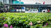 Mau Direvitalisasi, Halte TransJ Bundaran Senayan Tutup 31 Mei