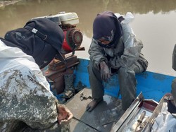Momen Mahasiswa-Dosen FKH Unair Dorong Perahu yang Kandas Usai Autopsi Paus