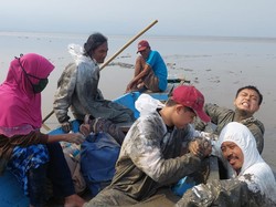 Tim Peneliti Paus Balin Berhasil Dievakuasi Setelah 7,5 Jam Terjebak Lumpur