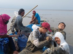 Perahu Tim Peneliti FKH Unair Kandas Tak Jauh dari Bangkai Paus Balin Mati