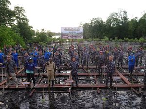 Koarmada III Resmikan KBN dan Tanam 5.000 Bibit Mangrove di Sorong