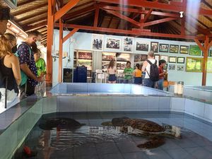 Desa Wisata Serangan Denpasar Masuk Nominasi 75 Besar ADWI 2023 Desa Wisata Serangan Denpasar Masuk Nominasi 75 Besar ADWI 2023