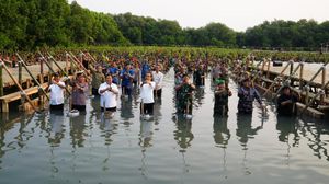 Tanam Mangrove Secara Serentak, Mabes TNI Raih Rekor Muri