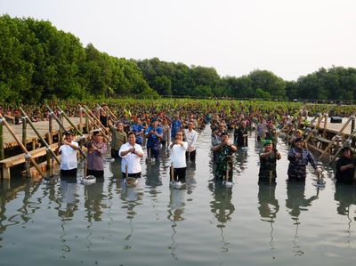 Tanam Mangrove Secara Serentak, Mabes TNI Raih Rekor Muri