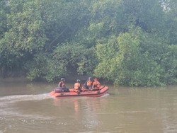 Basarnas Terjunkan 1 Tim Evakuasi Perahu Peneliti Bangkai Paus yang Kandas