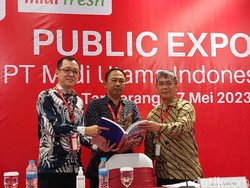 Alfamidi Cetak Laba Rp 398 M, Tahun Ini Mau Tambah 200 Gerai