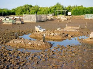 Ancaman Abrasi di Garis Pantai Utara Jabar, Rumah-Pemakaman Umum Rusak