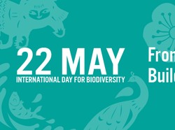 Sejarah dan Tema Hari Keanekaragaman Hayati Internasional 2023