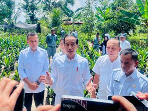 Jokowi soal Perbaikan Jalan: Jangan Enak-enak Diambil Alih, Daerah Malah Tidur