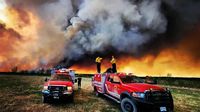 Kota di Kanada Berselimut Asap Kuning Imbas Kebakaran Hutan