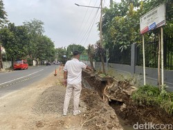 Proyek Jalur Pedestrian Dihentikan Imbas 4 Warga Tertimpa Pohon