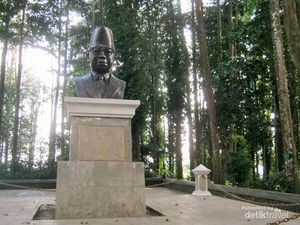Seru Juga Menyusuri Taman Hutan Raya Djuanda