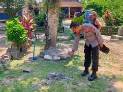 Amarah Ketua RT di Ngawi Bacok Mama Muda Usai Ditolak Bercinta