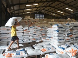 Bansos Beras 640.000 Ton Disebar Pekan Depan, Pertama Jakarta dan Bogor