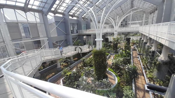 Potret Rumah Kaca Anggrek Kebun Raya Bogor yang Diresmikan Megawati