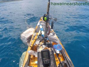 Serangan Mengerikan Hiu ke Kayak & Kegilaan Nelayan yang Lanjut Melaut Serangan Mengerikan Hiu ke Kayak & Kegilaan Nelayan yang Lanjut Melaut