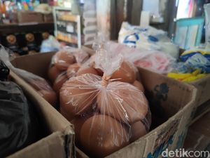 Banyak Hajatan, Harga Telur Ayam di Kulon Progo Tembus Rp 32 Ribu
