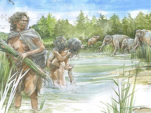 Nenek Moyang Manusia Nyaris Punah 9.000 Tahun Lalu, Ilmuwan Ungkap Penyebabnya Nenek Moyang Manusia Nyaris Punah 9.000 Tahun Lalu, Ilmuwan Ungkap Penyebabnya