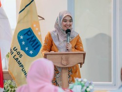 Profil Chusnunia Chalim, Wakil Gubernur Lampung Perempuan Pertama