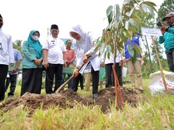 Konservasi Raung-Ijen, Pemkab Banyuwangi Bagikan 32 Ribu Bibit Tanaman Keras