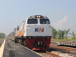 Gandeng Malaysia, RI Mau Genjot Laju Kereta Jadi 160 Km/Jam