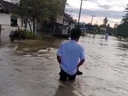 Derita Warga di Luwu Utara Sudah 6 Bulan Desanya Direndam Banjir