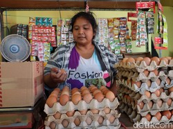 Harga Telur di Ponorogo Tembus Rp 31 Ribu per Kilogram, Emak-emak Sambat