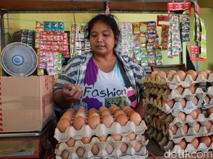 Harga Telur di Ponorogo Tembus Rp 31 Ribu per Kilogram, Emak-emak Sambat Harga Telur di Ponorogo Tembus Rp 31 Ribu per Kilogram, Emak-emak Sambat